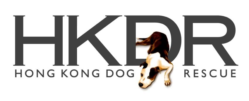 Reports on Rescuing and rehoming abandoned dogs in Hong Kong - GlobalGiving